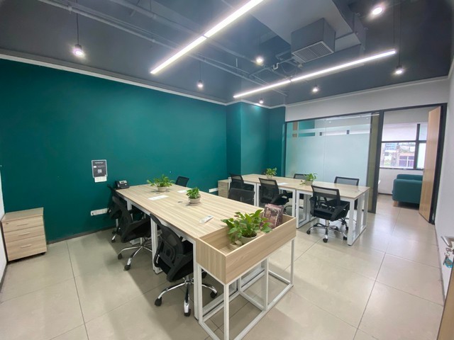 富阳区绿叶植物租赁服务商